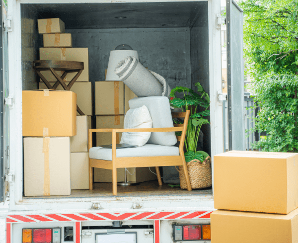 Untitled design - 2025-04-23T164801.806